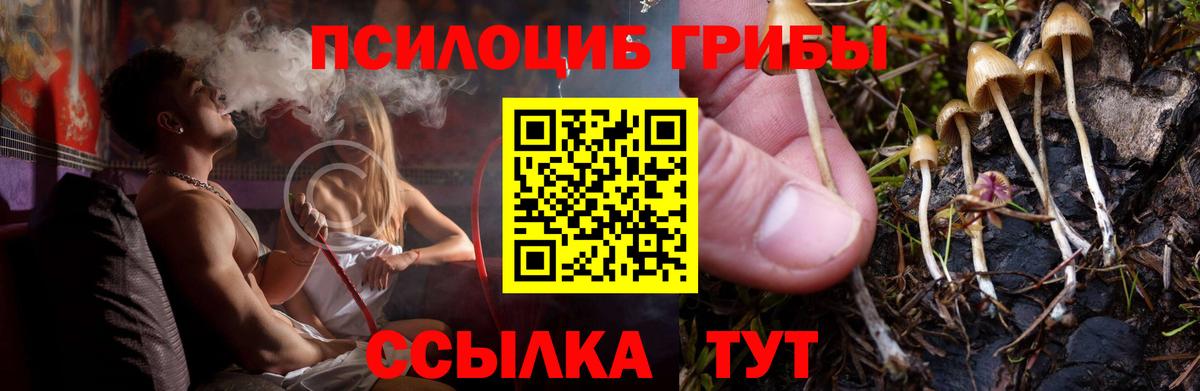 Галлюциногенные грибы Cubensis  Вход с VPN  Нижний Новгород 
